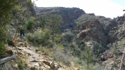 PICTURES/Barnhardt Trail/t_Sharon on Trail8.JPG